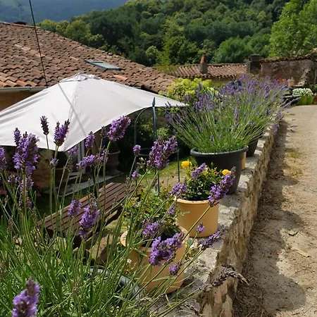 Gite De Charme Ganac Exterior photo