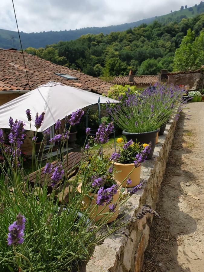 De Charme Holiday home